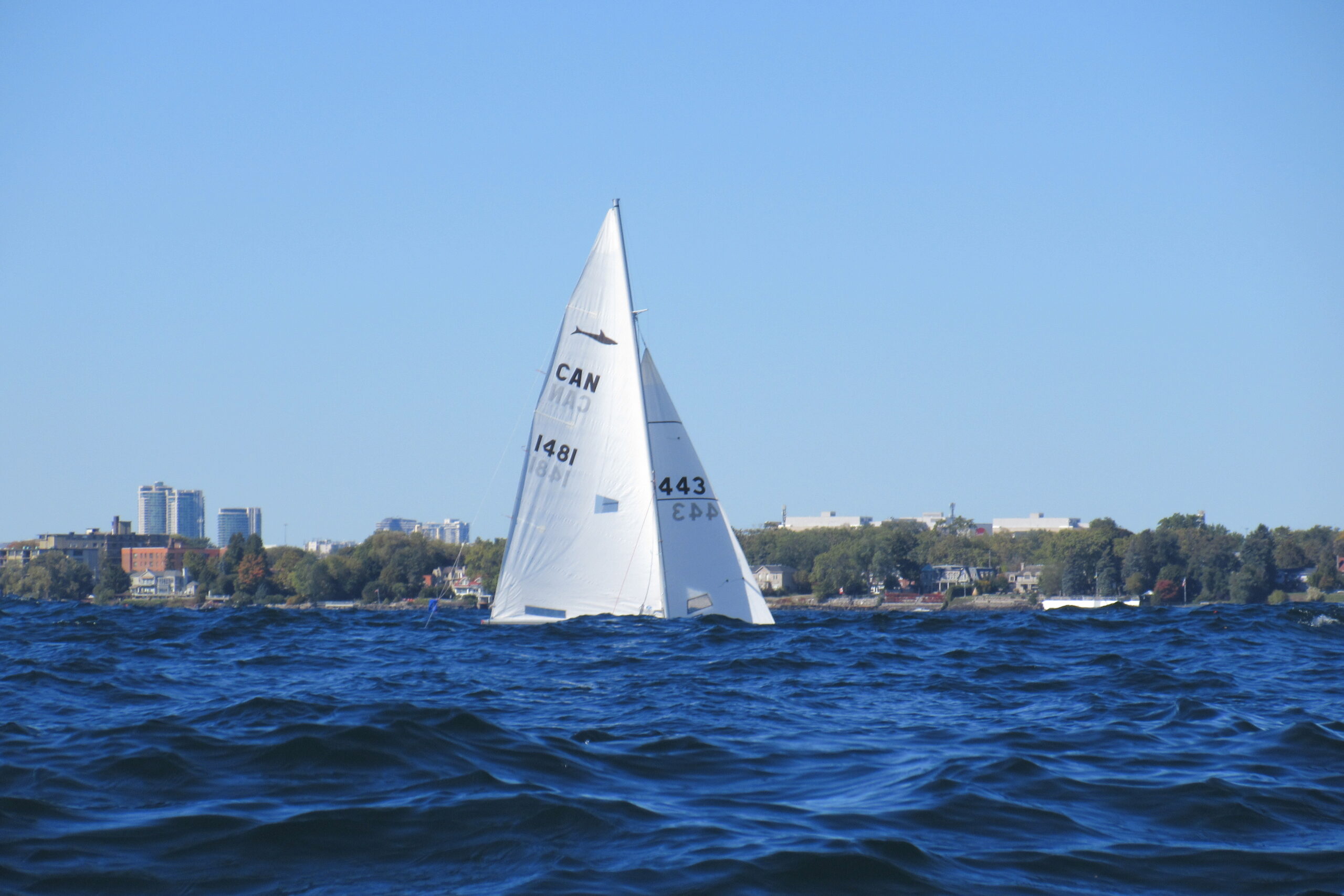 Race Report – Ahmen Sailboat Race #7